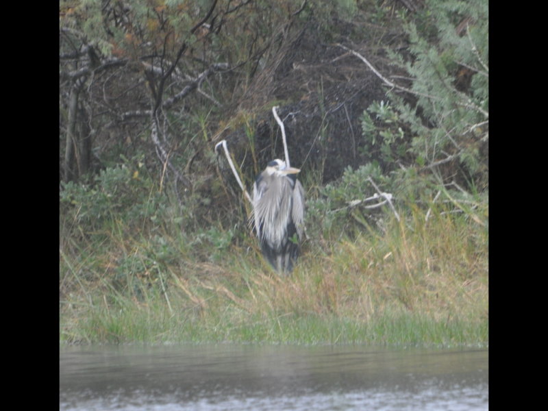 DSC_0158b.JPG
