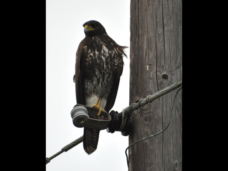 DSC_0925b.JPG