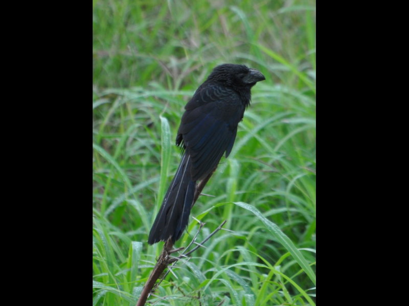 DSC_0169b.JPG