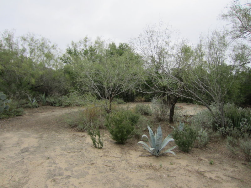IMG_1509b.JPG