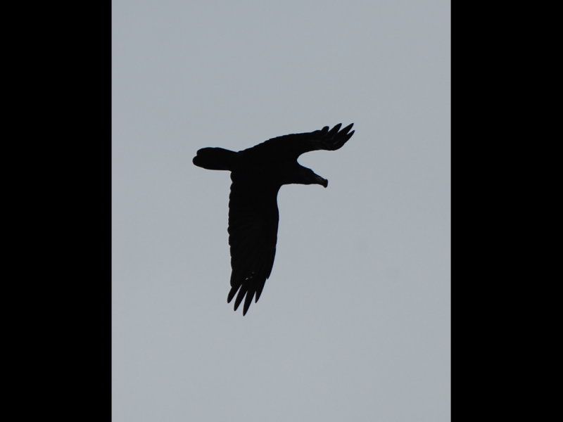 DSC_1792b.JPG