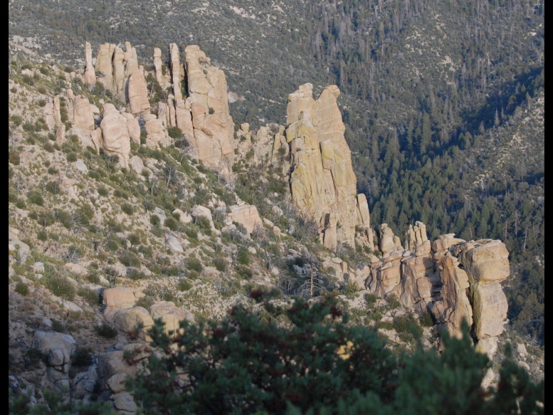 DSC_2865b.JPG