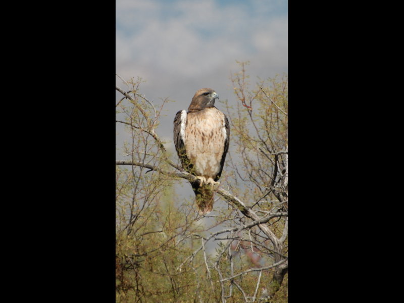 DSC_3011b.JPG