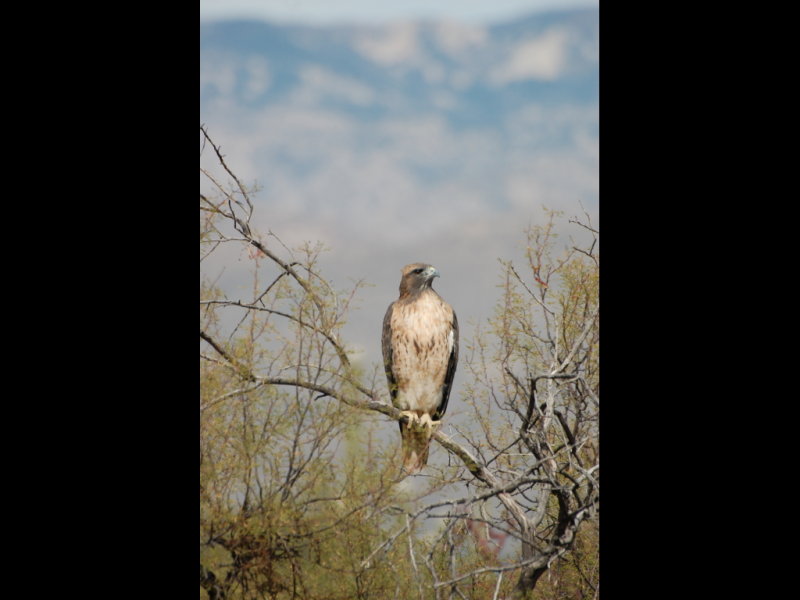 DSC_3024b.JPG