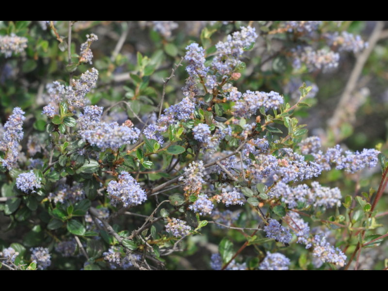 DSC_1314b.JPG