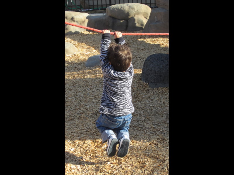 IMG_1838b.JPG