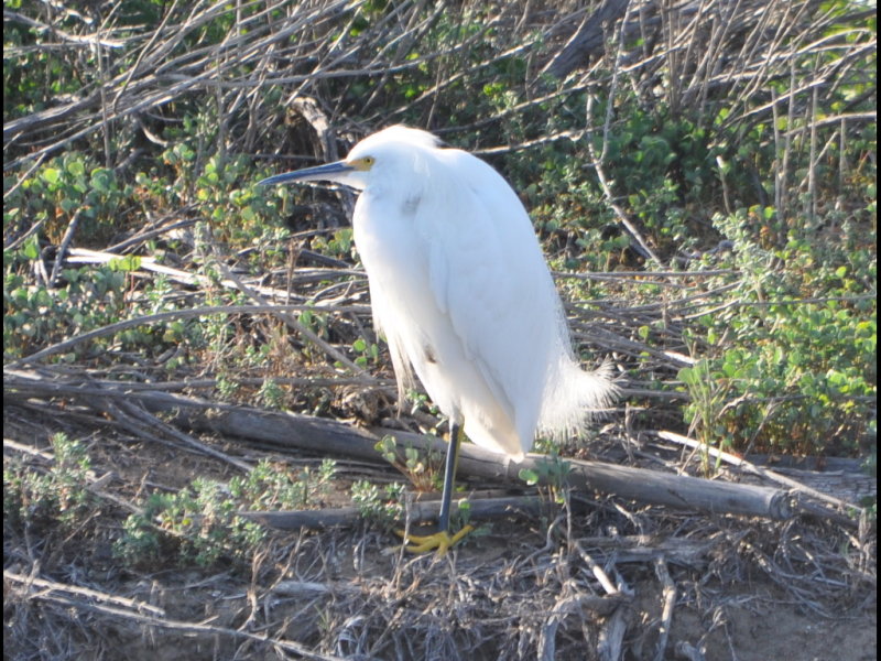 DSC_0427b.JPG