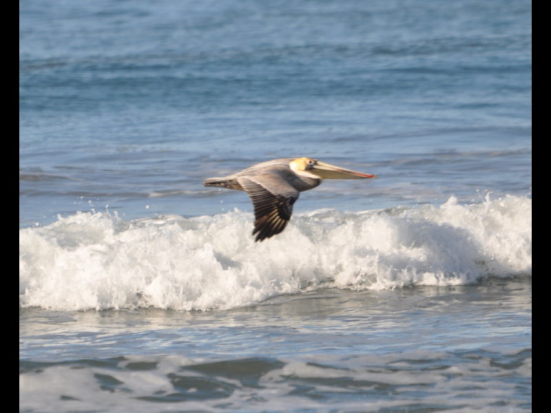 DSC_0050b.JPG
