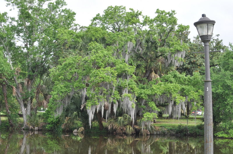 DSC_1366b.JPG