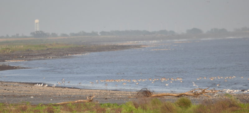 DSC_0966b.JPG