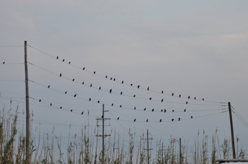 DSC_0086b.JPG