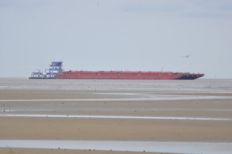 DSC_0565b.JPG