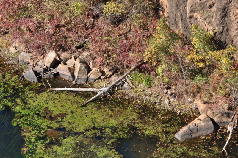 DSC_0940b.JPG