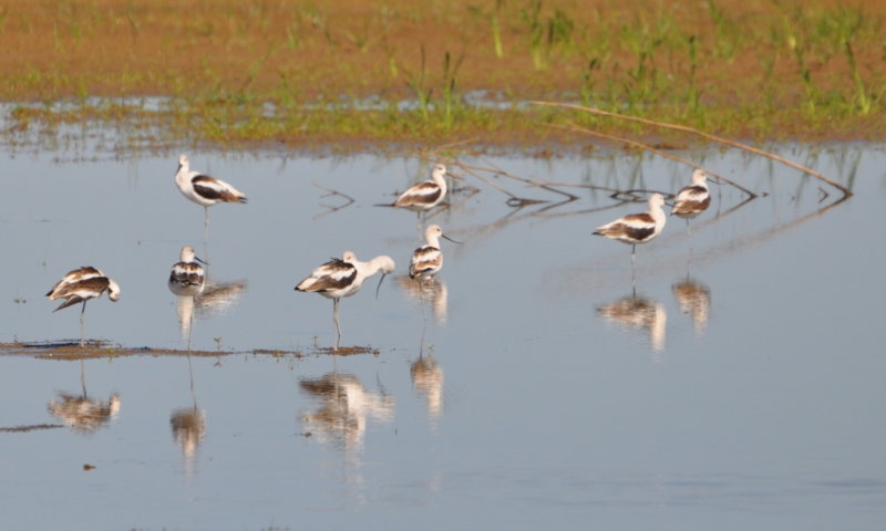 DSC_1884b.JPG
