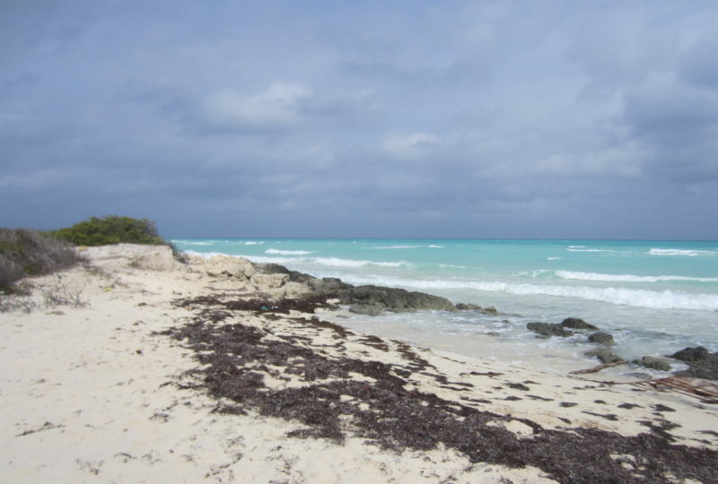 IMG_3940b.JPG