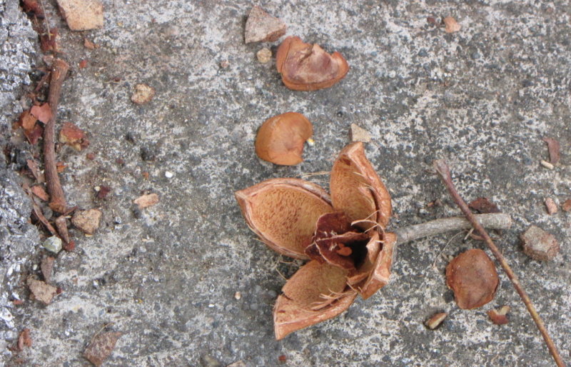 IMG_2458b.JPG