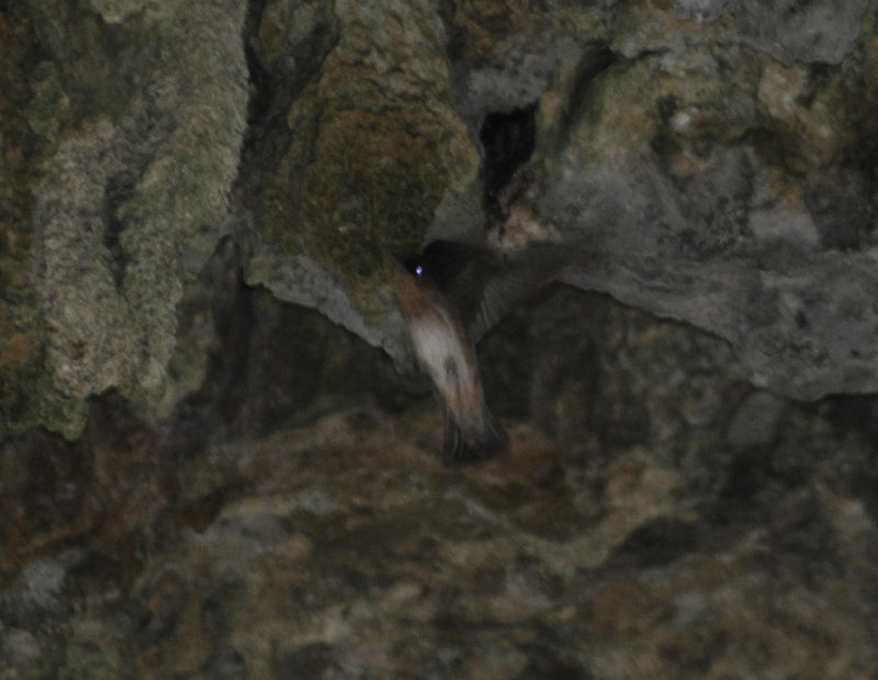 DSC_0916b.JPG