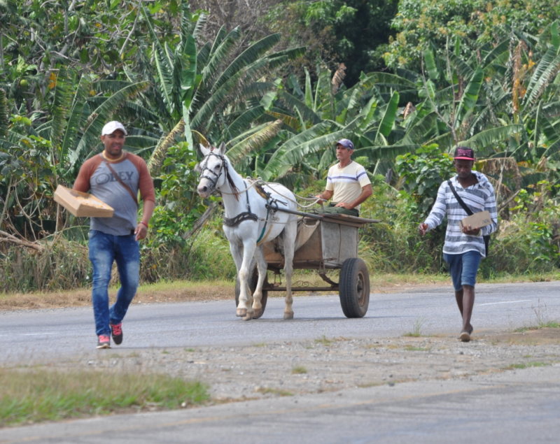 DSC_0113b.JPG