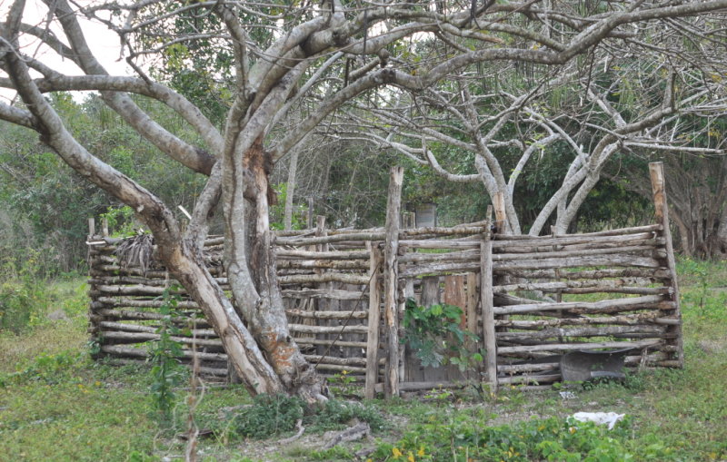 DSC_0419b.JPG