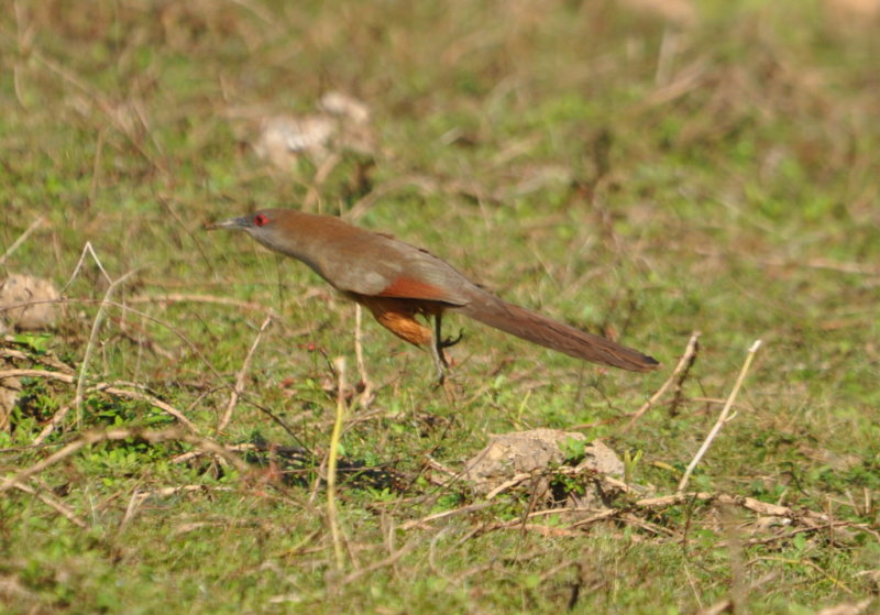 DSC_0119b.JPG