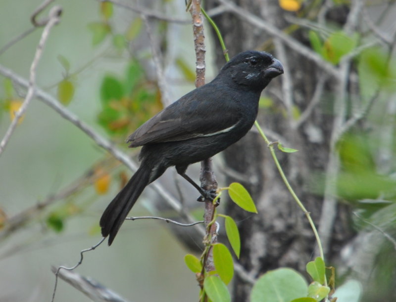 DSC_0284b.JPG