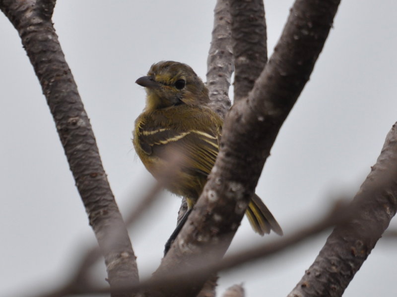 DSC_0303b.JPG