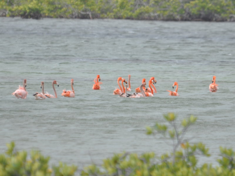 DSC_0610b.JPG