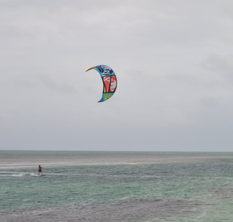 DSC_0835b.JPG