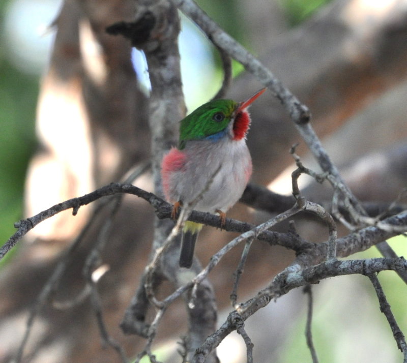 DSC_0129b.JPG