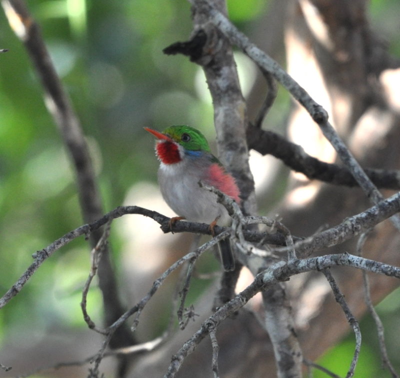 DSC_0140b.JPG
