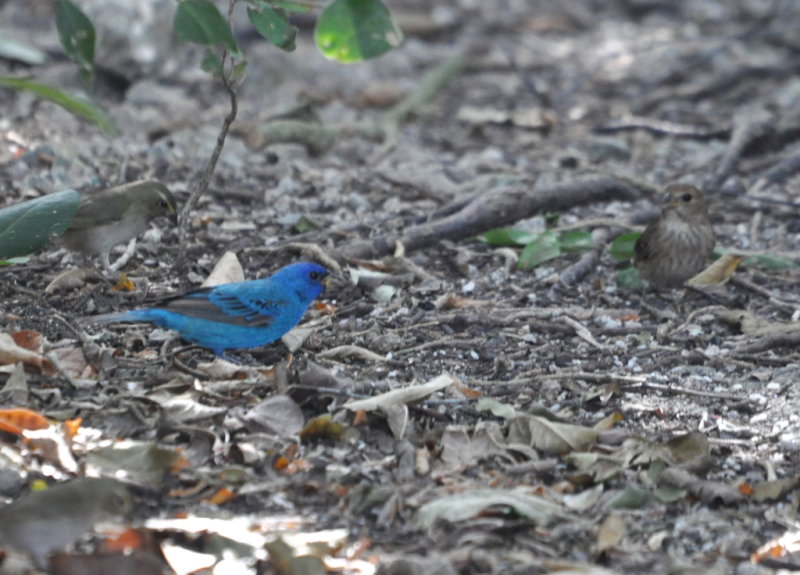 DSC_0360b.JPG