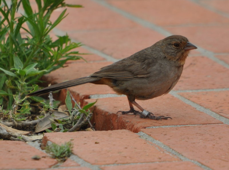 DSC_0866b.JPG