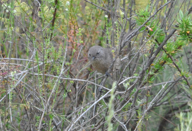 DSC_0304b.JPG