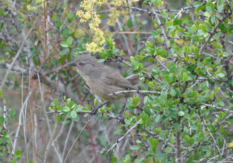 DSC_0315b.JPG