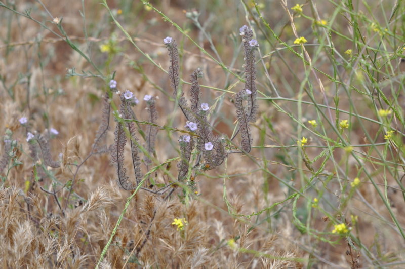 DSC_0499b.JPG