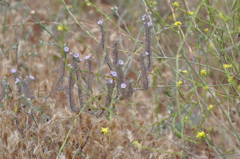 DSC_0500b.JPG