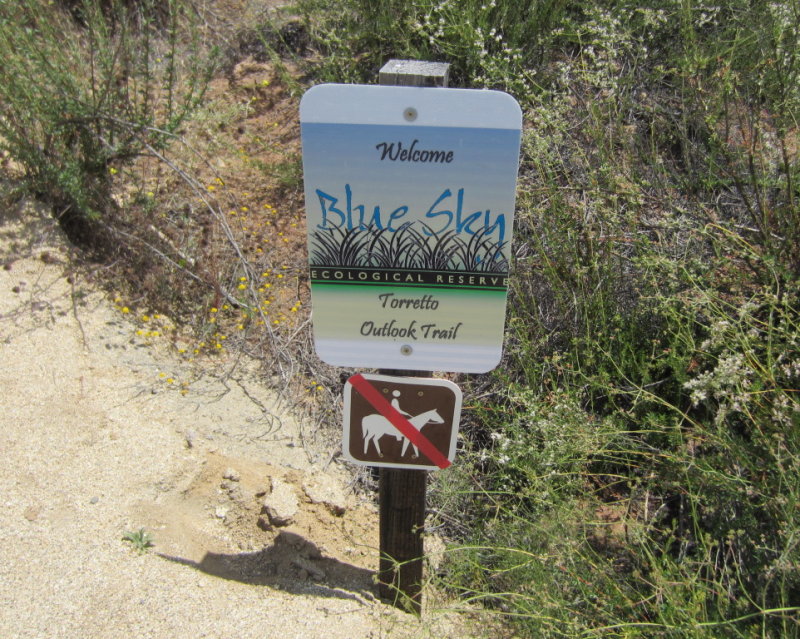 IMG_5127b.JPG