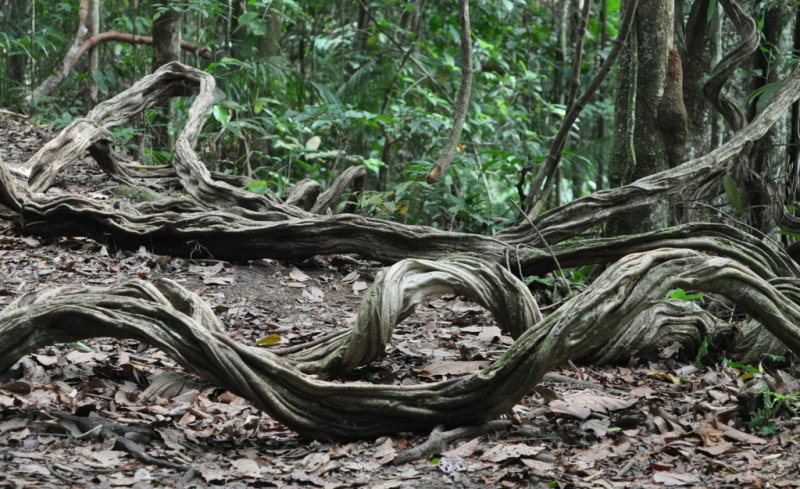 DSC_0253b.JPG