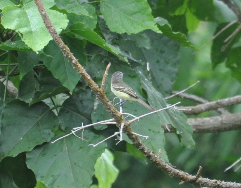 DSC_0457b.JPG