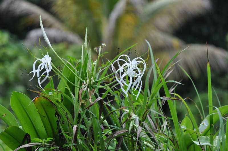 DSC_0074b.JPG