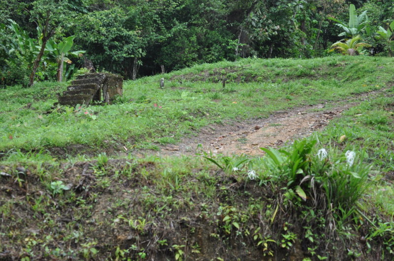 DSC_0075b.JPG