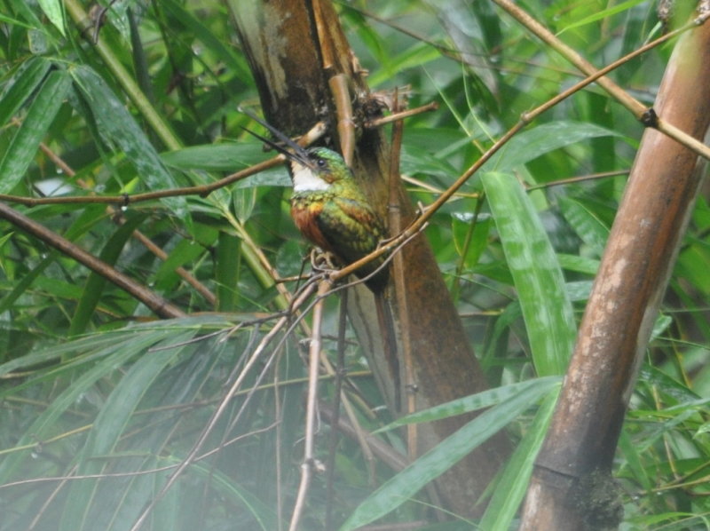 DSC_0183b.JPG