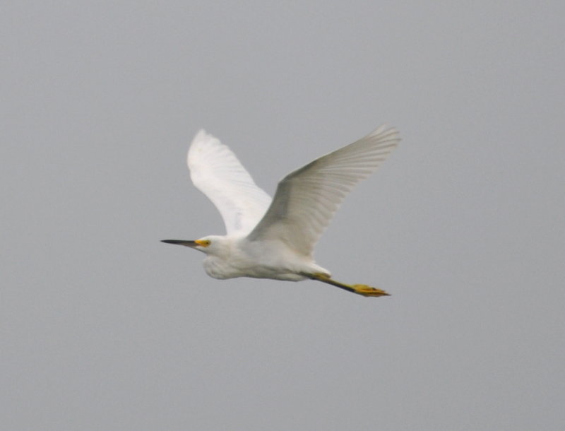 DSC_0586b.JPG