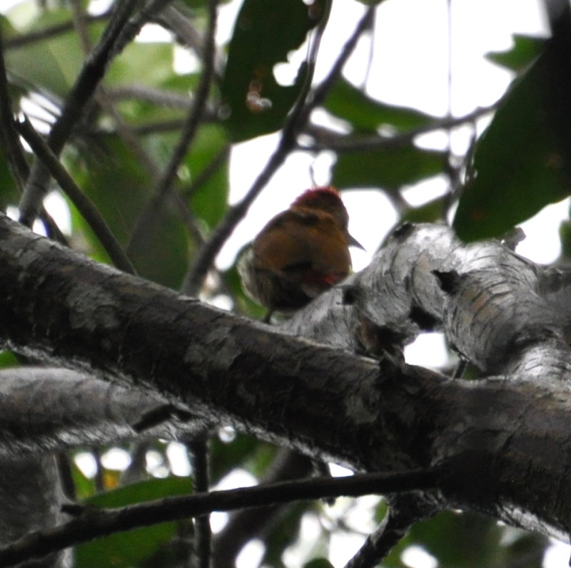 DSC_0793b.JPG