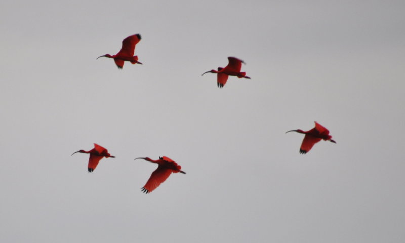 DSC_0812b.JPG
