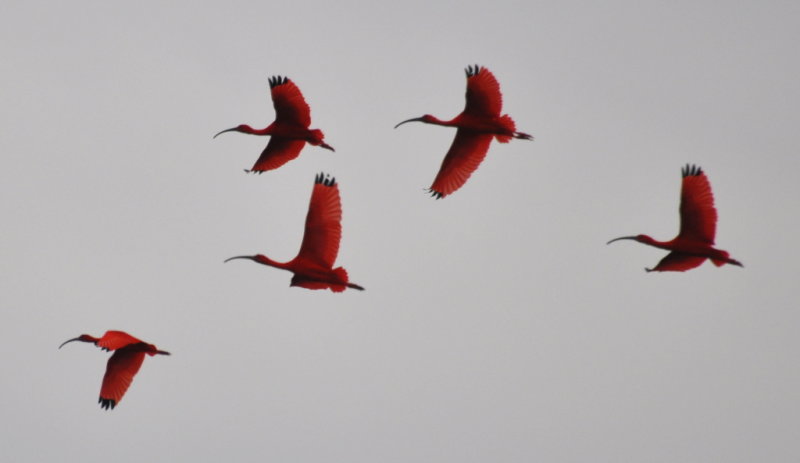 DSC_0814b.JPG