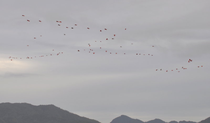 DSC_0835b.JPG