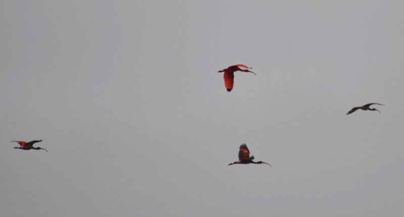 DSC_0837b.JPG