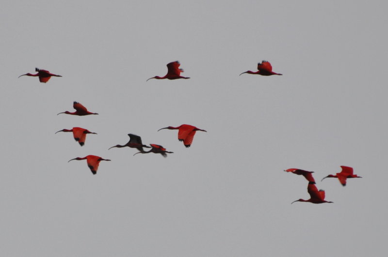 DSC_0043b.JPG