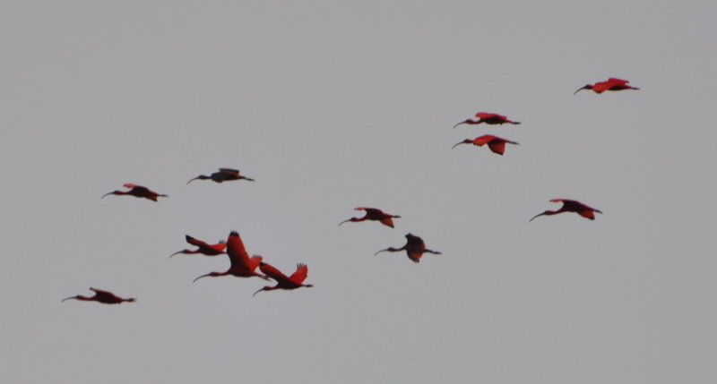 DSC_0050b.JPG